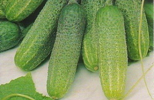 יתרון כיתה
