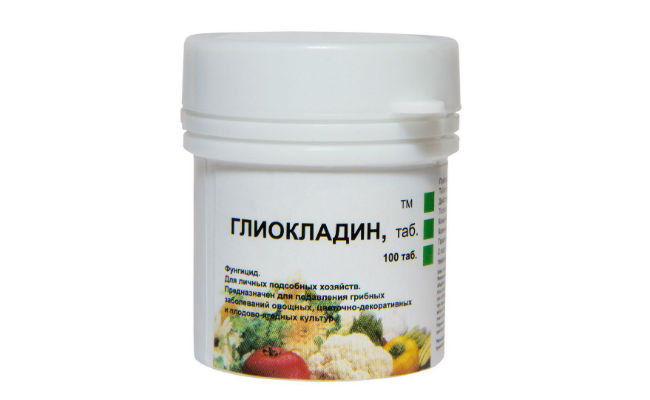 droga glicocladina