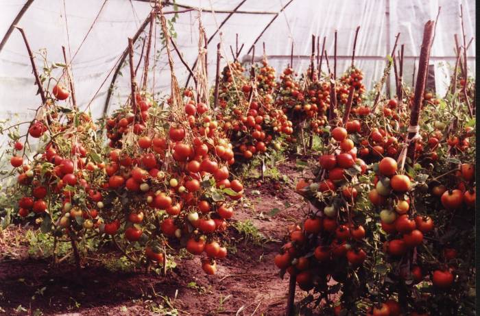 growing methods