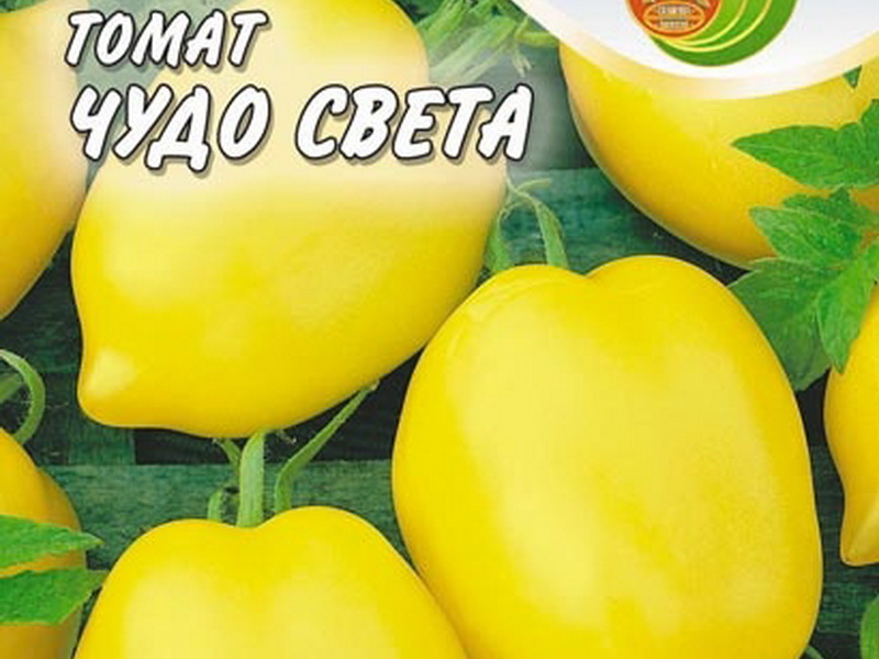 доматено чудо на света