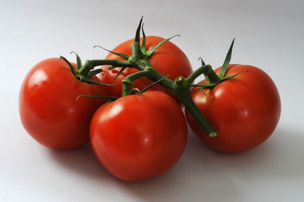 tomate de carvalho na mesa