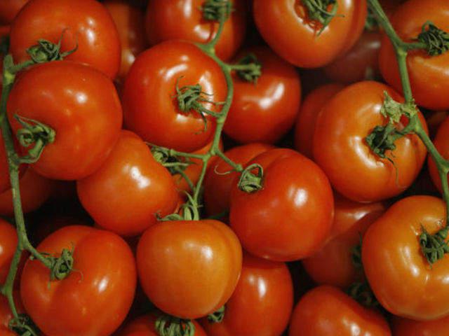 aparición de tomates tomates Maryina Roshcha