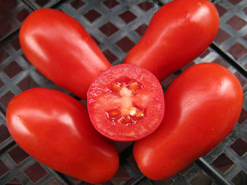 Tomate Moskiv Delikatesse im Inneren