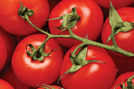 Tomatengenuss