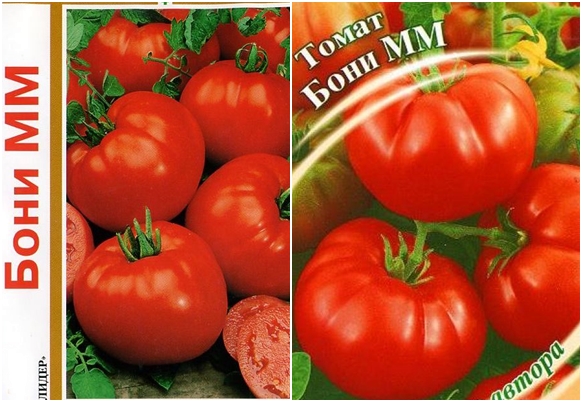 Tomatensamen boni mm