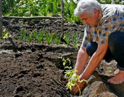terreno aberto