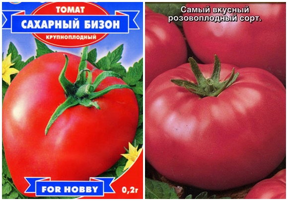 pestki pomidorów, bizon cukrowy