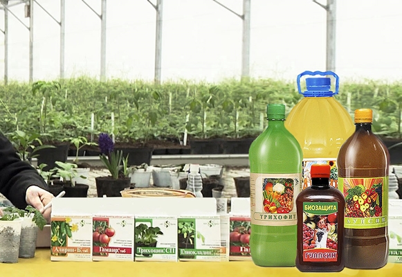 rettsmidler fra butikken fra phytophthora