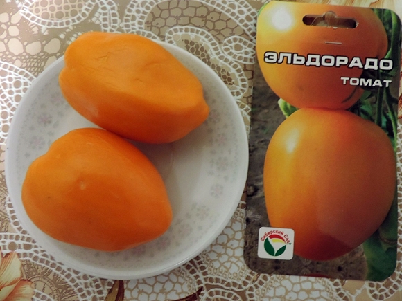 Pomidor Eldorado na stole