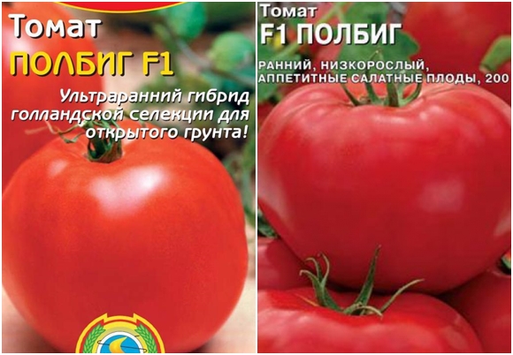 hạt cà chua Cà chua Polbig F1