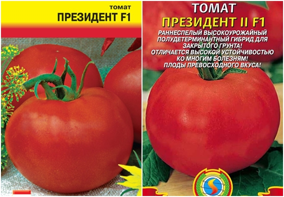 президент домати семена