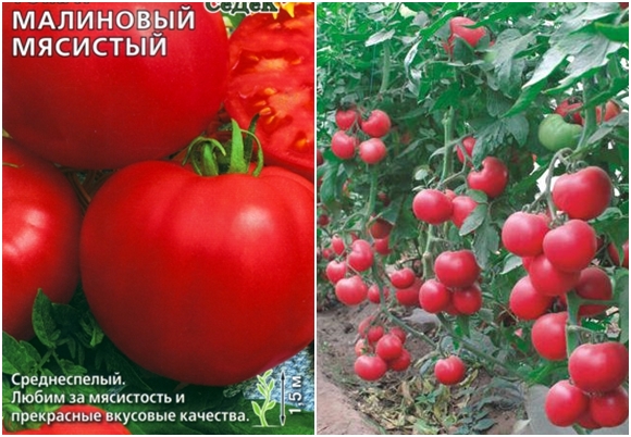 малинови месести доматени семена