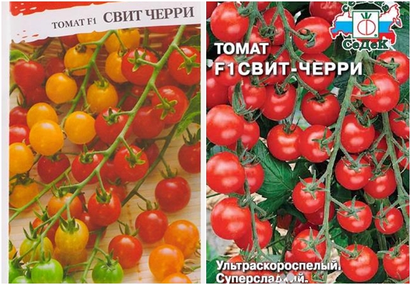 sementes de tomate cereja doce
