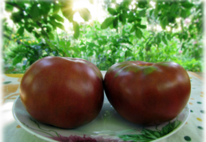Características e descrição das variedades de tomate da série Gnome tomate, seu rendimento