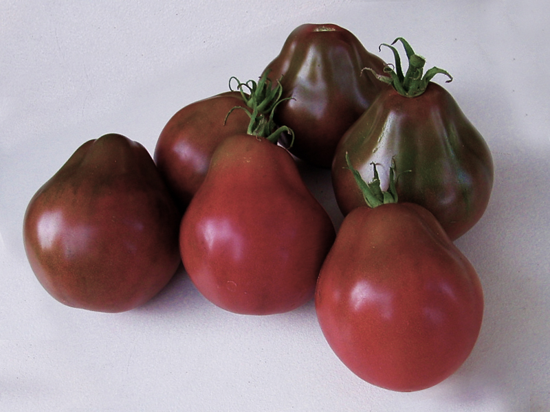 truffe noire sur la table