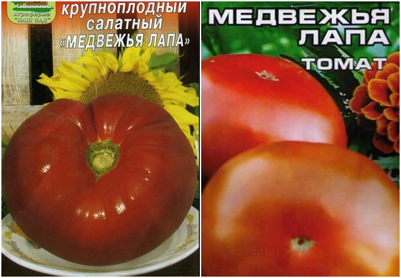 доматени семена носят лапа