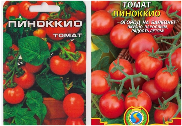 Pinocchio-Tomatensamen
