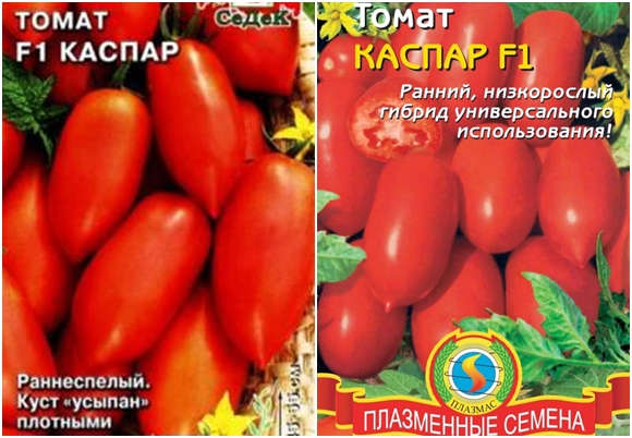 Tomatensamen caspar