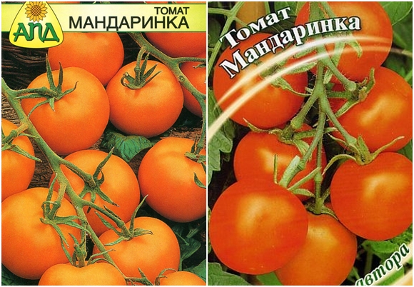 זרעי עגבניות מנדרינה