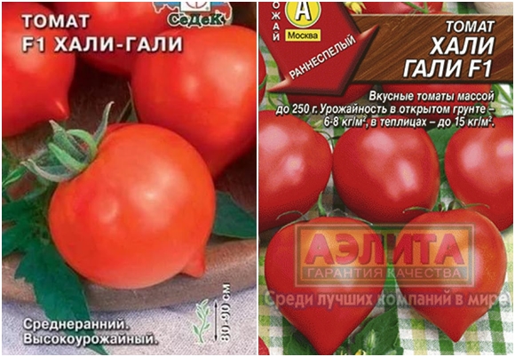 Hali Gali Tomatensamen