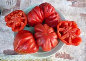 Описание и сортове домати сортове Tlacolula de Matamoros, неговият добив