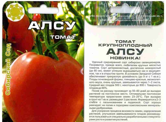 σπόροι ντομάτας επίσης
