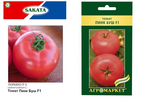 Tomatensamen rosa Busch f1