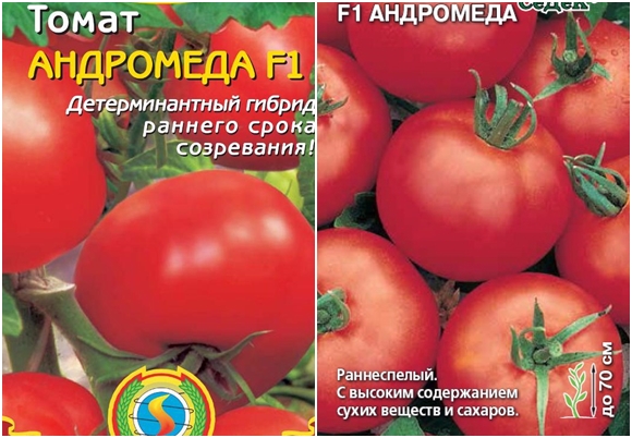 семена от андромеда домат