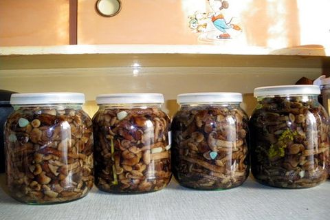 geschlossene gesalzene Pilze