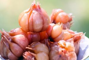 Rezept für eingelegten Knoblauch wie auf dem Markt mit ganzen Köpfen