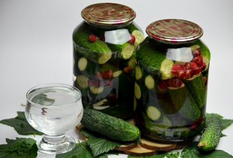pickled cucumbers with basil in jars on the table