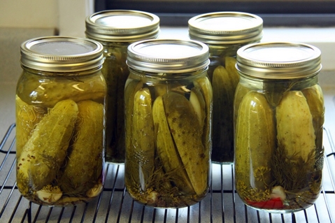 cetrioli con vodka in lattina