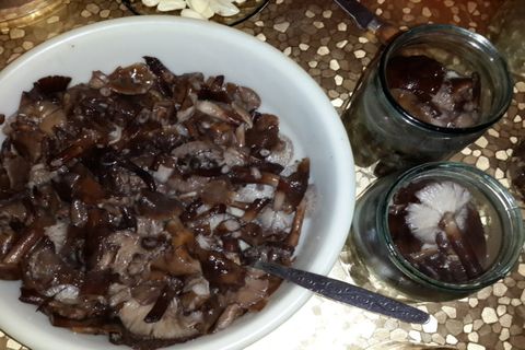 Rezept für gesalzene Pilze