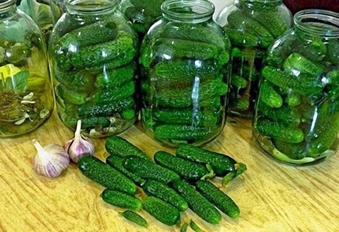 malvagi cetrioli in scatola con vodka in lattina