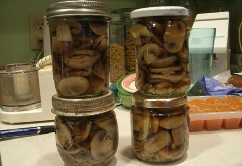 فطر صار في الجرار