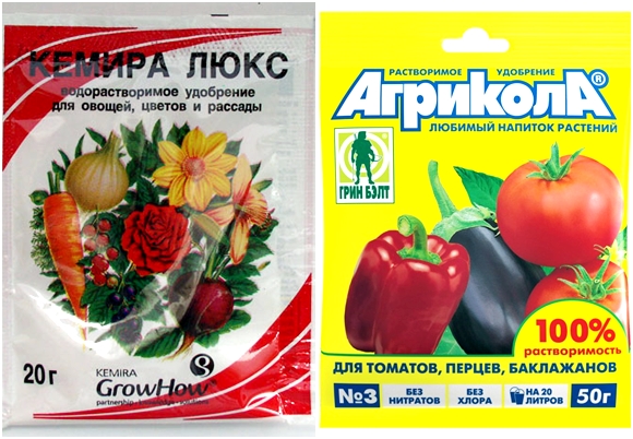 Dünger für Tomaten
