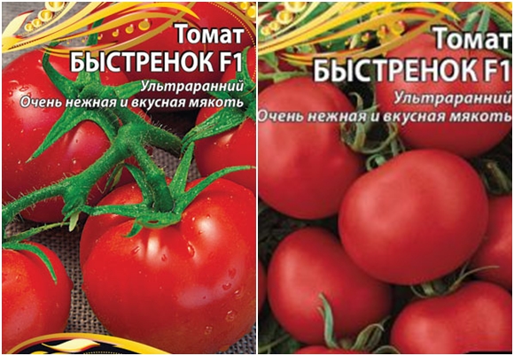 доматени семена бързо