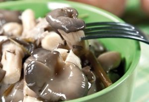 Рецепти как бързо и вкусно солени стриди гъби у дома