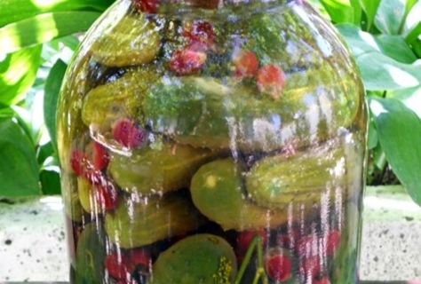 pickled cucumbers with basil in a jar