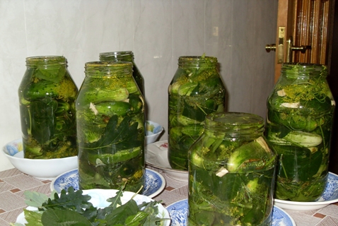 cucumbers with oak leaves in jars