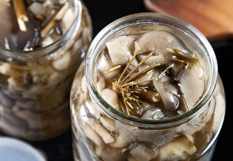 oyster mushrooms in a jar