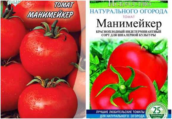 Tomatensamen Geldverdiener