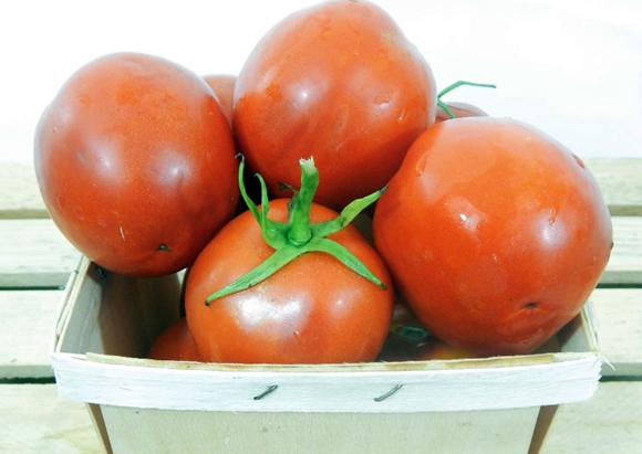 Geldmachertomate im Korb