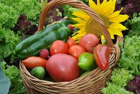 pimientos y tomates en una canasta