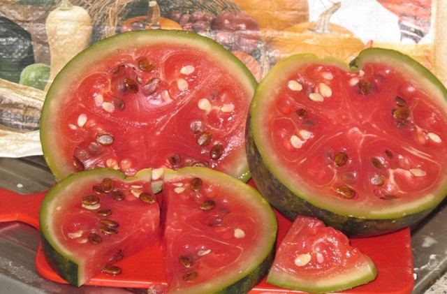 ganze Wassermelonen