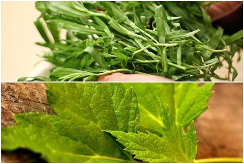 currant leaves and tarragon
