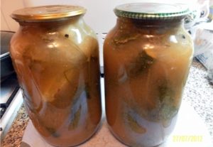 Receitas de pepino enlatado em suco de maçã para o inverno