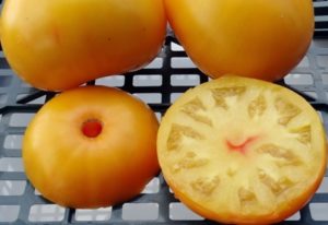 Características e descrição da variedade de tomate Beijo da vovó, seu rendimento