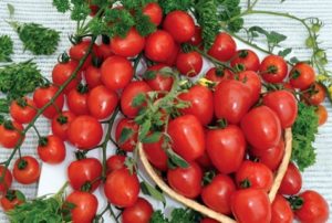 Eigenschaften und Beschreibung der Erdbeertomatensorte, deren Ertrag