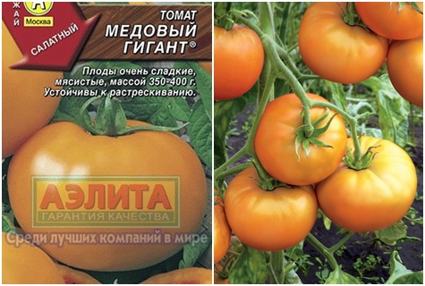 tomato seeds honey giant